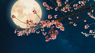 Ροζ Πανσέληνος Απριλίου: Τα 4 ζώδια που επηρεάζονται από το φεγγάρι της άνοιξης