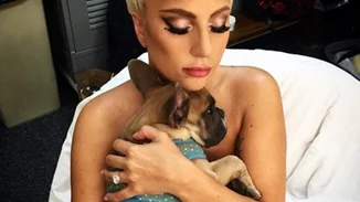 Lady Gaga | Σοκ στο Hollywood με δολοφονική επίθεση και 4 πυροβολισμούς