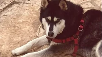 Υπουργική "βόμβα" για την κακοποίηση του Όλιβερ: "Καταλήξαμε στην αιτία θανάτου