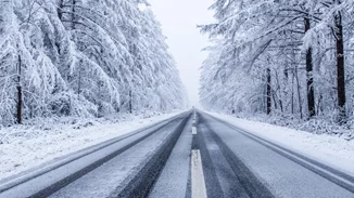 Κακοκαιρία "Barbara"| Πούλμαν εγκλωβίστηκε στο καταφύγιο της Δίρφυς - Επιστρέφουν με τα πόδια οι 40 επιβάτες