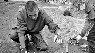 Ο Σωτήρης Κοντιζάς μαζεύει ελιές | Όλη η διαδικασία στο ελαιοτριβείο