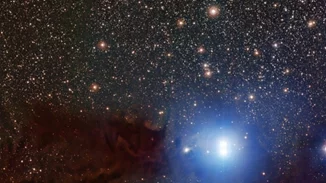 Λυρίδες: Τα πεφταστέρια της άνοιξης έχουν άρωμα "Θάτσερ"