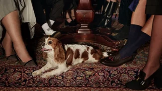 Απόλαυσε την απόλυτη shopping εμπειρία στο ανανεωμένο ηλεκτρονικό κατάστημα Kalogirou