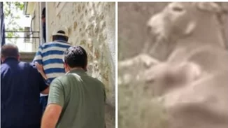 Σάλος με τον αντιδήμαρχο Ζίτσας που έσερνε γάϊδαρο με το αγροτικό στην άσφαλτο - "Τον είχε τραυματίσει λύκος", λέει τώρα