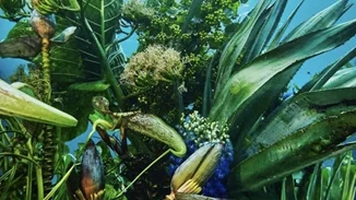 Το νέο θαύμα του florist artist Azuma Makoto