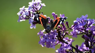 Με σκαμπανεβάσματα ο καιρός όλη τη Μεγάλη Εβδομάδα | Από καταιγίδες σε... άνοιξη - Πώς θα σουβλίσουμε