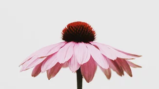 10 Years Missbloom: Our Values | Περνάμε στο επόμενο κεφάλαιο, με ισχυρούς συμμάχους αδιαπραγμάτευτες αξίες