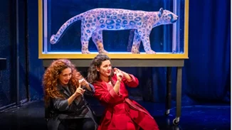 Το θρυλικό "Καπλάνι της Βιτρίνας" της Άλκης Ζέη στην Κεντρική Σκηνή του Ιδρύματος Μιχάλης Κακογιάννης