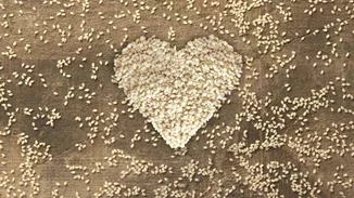 Πώς το σουσάμι βελτιώνει την υγεία σου | Τι λέει ο διαιτολόγος