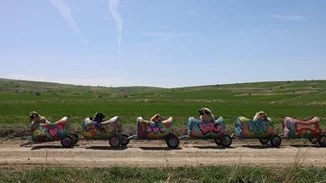 Τουρκία | H φιλόζωη που βγάζει βόλτα ανάπηρους σκύλους με αυτοσχέδιο "τρενάκι"