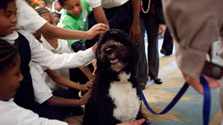 Πέθανε ο Bo, ο σκύλος του Μπαράκ Ομπάμα και σταρ του Λευκού Οίκου