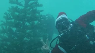 Στην Αλόννησο το χριστουγεννιάτικο δέντρο στολίζεται από δύτες στον βυθό της θάλασσας