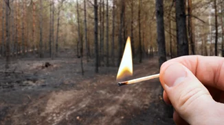 Στις φυλακές πλέον θα οδηγούνται οι εμπρηστές από αμέλεια, κινδυνεύουν με φυλάκιση και όσοι δεν έχουν καθαρίσει τα οικόπεδά τους