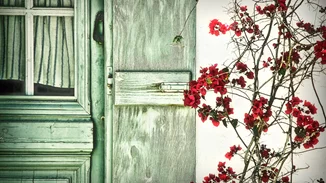 H "Χαμένη Κόρη" της Έλενας Φερράντε έγινε ταινία και γυρίστηκε στις Σπέτσες