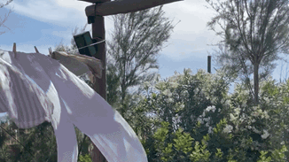 MissBloom Summer Party | Τα highlights μιας βραδιάς που θα θυμόμαστε για καιρό