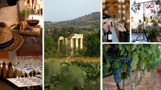 Μεγάλες Μέρες Νεμέας: 11+1 εμπειρίες που αξίζει να "μην χάσεις" αυτό το Σαββατοκύριακο!