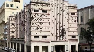 Aράχνες, μυρμήγκια και έντομα γίνονται τέχνη σε μία ξεχωριστή έκθεση στο Άμστερνταμ