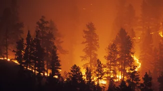 Πώς ξεκίνησε η φωτιά στην Πεντέλη |Τα στοιχεία που δείχνουν εμπρησμό - Οι δύο εστίες χωρίς πυλώνες ρεύματος κοντά