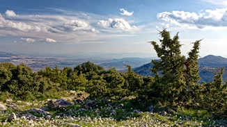 Φωτιά τώρα στην Πάρνηθα | Καίει κοντά σε σπίτια - Στη μάχη 3 canadair και ένα ελικόπτερο