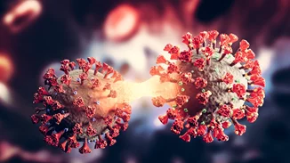 ΠΟΥ: Τέλος στην παγκόσμια υγειονομική κατάσταση έκτακτης ανάγκης για την ευλογιά των πιθήκων