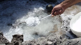 O "χρυσός"… της θάλασσας των Κυθήρων