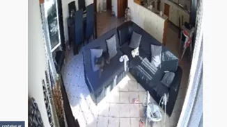 Σεισμός στην Κρήτη | Πανικοβλήθηκε σκύλος μόνος του στο σπίτι (βίντεο)