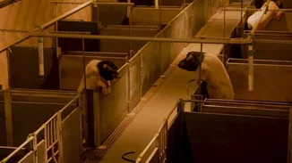 Οι must-see εκθέσεις για τον Μάιο