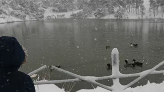 Ραγδαία μεταβολή του καιρού με τσουχτερό κρύο, χιόνια και παγετό όλο το Σαββατοκύριακο - Αναλυτική πρόγνωση