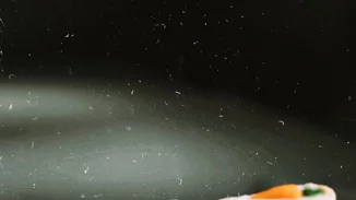 Κέικ καρότου με βρόμη χωρίς αλεύρι, χωρίς βούτυρο και με λίγη ζάχαρη