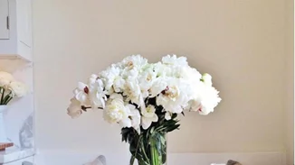 30/1: Αυτοί είναι οι Instagram λογαριασμοί που θέλουμε να ακολουθούμε τώρα