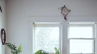 10 φυτά εσωτερικού χώρου που θα μεταμορφώσουν το σπίτι