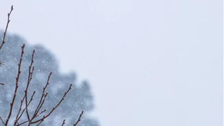 Αυτοί είναι οι Instagram λογαριασμοί που θέλουμε να ακολουθούμε τώρα