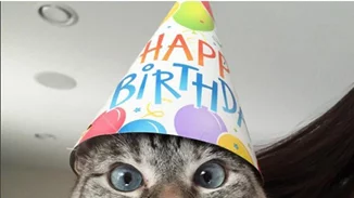 Αυτή η γάτα έχει πάνω από 2 εκατομμύρια followers στο Instagram