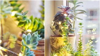 Cool Hunting: 8 τρόποι να φέρεις την Άνοιξη στην καρδιά του χειμώνα