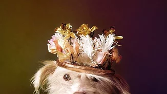 Ανάλυσέ το: 5+1 λόγοι να αποκτήσεις κατοικίδιο