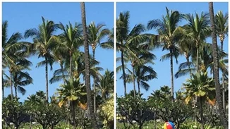 Britney Spears: Πώς ξόδεψε 10 εκατομμύρια δολάρια μέσα σε ένα χρόνο;