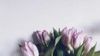 12/3: Αυτοί είναι οι λογαριασμοί που θέλουμε να ακολουθούμε τώρα