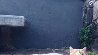 Τι σημαίνουν τα πιο δημοφιλή hashtag του Instagram