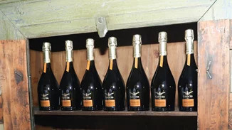 Οι αφρώδες οίνοι που συνοδεύουν ιδανικά τις ευρωπαϊκές γεύσεις