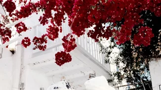 Quiz: Ποια διάσημη fashion blogger παντρεύεται;