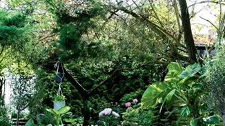 20 ιδέες για όμορφα καλοκαιρινά μπαλκόνια, βεράντες και κήπους