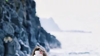 Οι πιο πολύτιμες beauty συμβουλές των bloggers για το καλοκαίρι