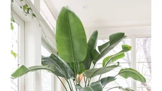 Summer Serenity: 15 ιδέες για ένα απόλυτα χαλαρωτικό σπίτι!