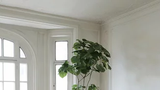 Απόλυτο Λευκό: Το μεγαλύτερο trend της επόμενης σεζόν για το σπίτι και τη διακόσμηση