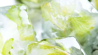 Δώσε γεύση στα παγάκια σου και αναβάθμισε κάθε ποτό