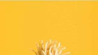 Το μυστήριο λύθηκε! Έτσι χρησιμοποιούν οι γάτες τα μουστάκια τους