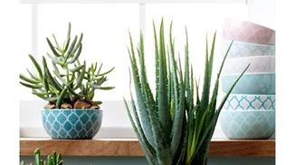 25 ιδέες για να αναβαθμίσεις τις γλάστρες στο μπαλκόνι και τον κήπο σου