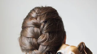 Τη μετατροπή του αδικήματος του βασανισμού ζώων σε κακούργημα αποφάσισε ο Μ. Βορίδης