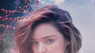 Πυροβολισμοί και μαχαιριές στο σπίτι της Miranda Kerr