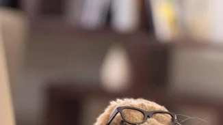 17/9: Αυτοί είναι οι Instagram λογαριασμοί που θέλουμε να ακολουθούμε τώρα